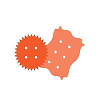 Biscuits & Cookies icon