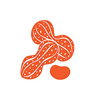 nuts & seeds icon