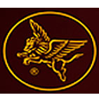 Flying Lion Logo