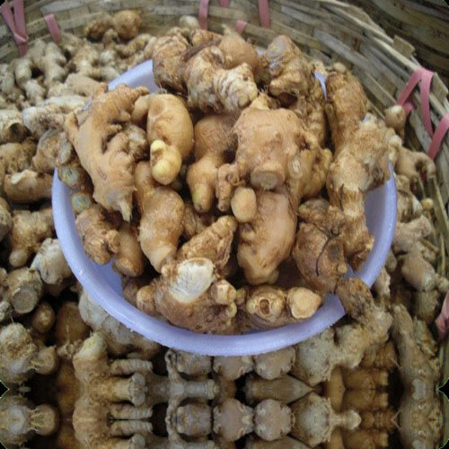 a plate of ginger roots