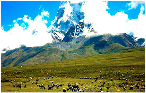 The Qinghai-Tibetan plateau