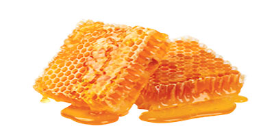 Honey combs